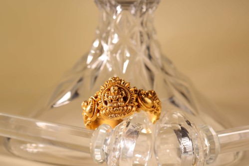 Sri Kamatchi nagas jewellery